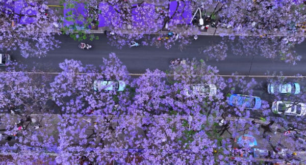 盈胜优配 火热而有序 各地多措并举护文明安全旅游