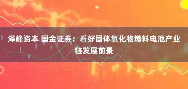 泽峰资本 国金证券：看好固体氧化物燃料电池产业链发展前景